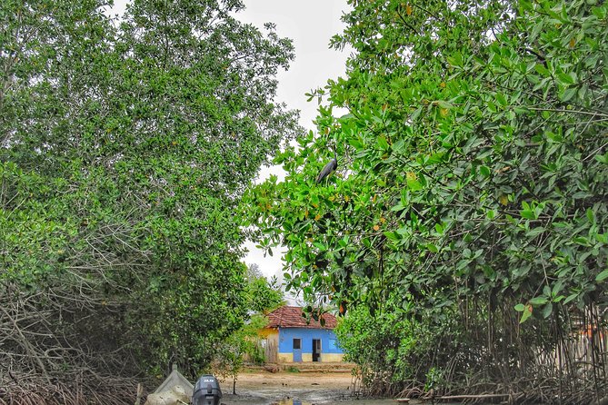 Private Tour of Ecotourism, Culture and Sea in Barú - Experience the Beauty of Barú