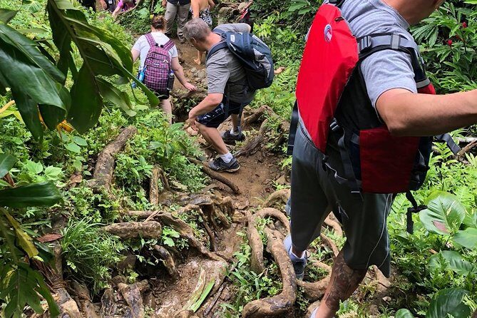 Private Tour of El Yunque Rainforest from San Juan - A Closer Look at the El Yunque Private Tour