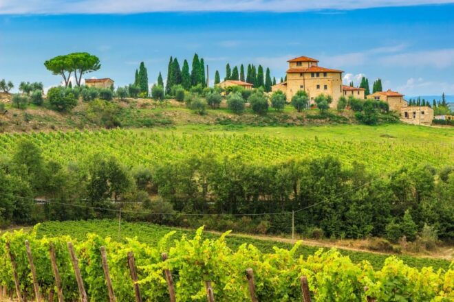 Private Tour of Florence and Chianti - Activity Highlights and Experiences