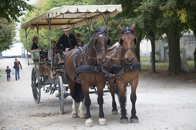 Private Tour of Fontainebleau From Paris - Exploring the Châteaus Rich History