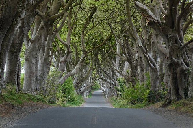 Private Tour of Giant'S Causeway and Game of Thrones Filming Locations - Tour Inclusions