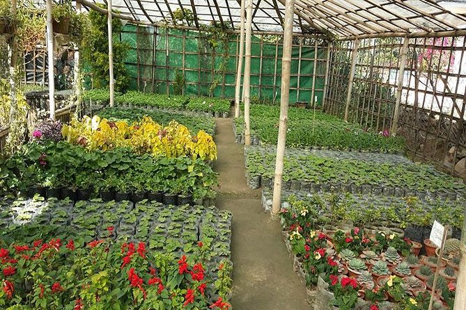 Private Tour of Godawari Botanical Garden Including Lunch - Reviews