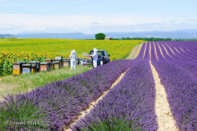 Private Tour of Gorges of Verdon and Fields of Lavender in Nice - Unforgettable Memories: Testimonials From Travelers