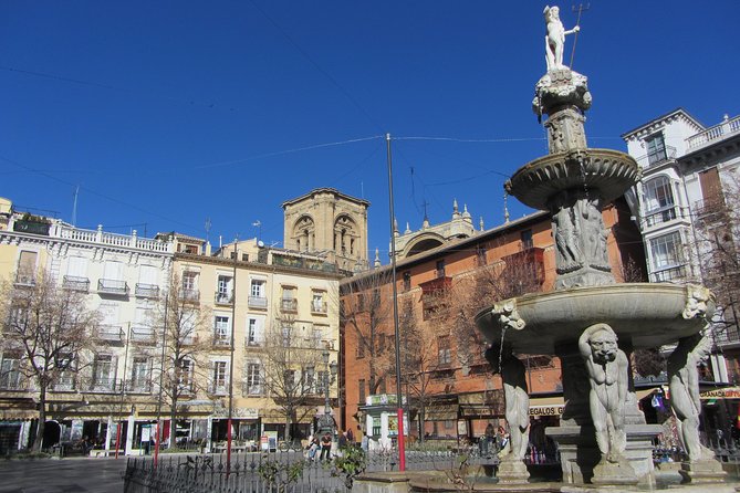 Private Tour of Granada Center. Total Price per Group Between 1 and 30 People - Reviews