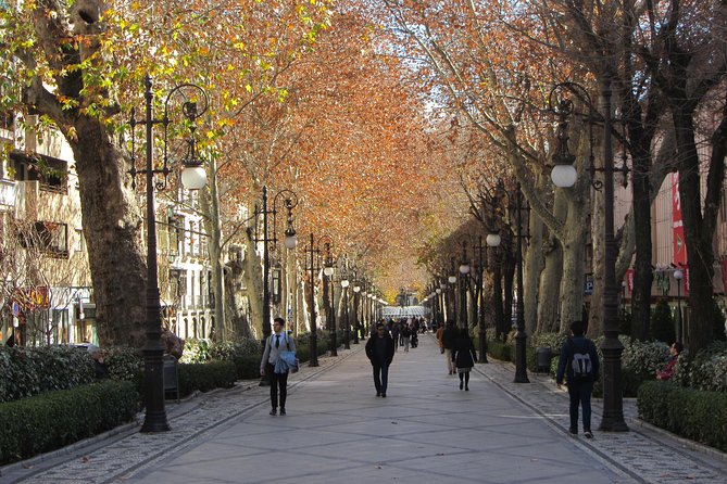 Private Tour of Granada Center. Total Price per Group Between 1 and 30 People - Common Questions