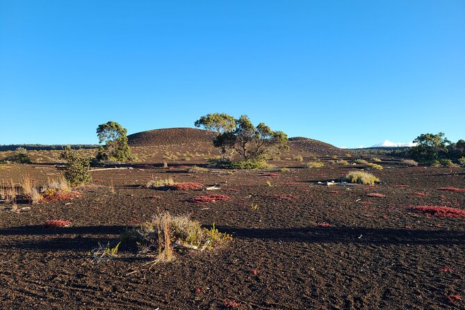 Private Tour of Hawaii Volcanoes National Park - Directions and Product Code