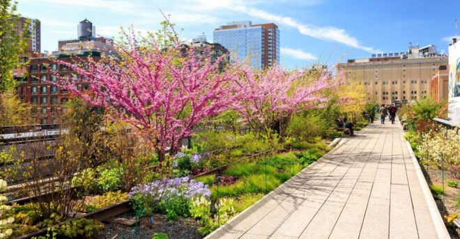 Private Tour of High Line, Chelsea, Hudson Yards and Edge - The Sum Up