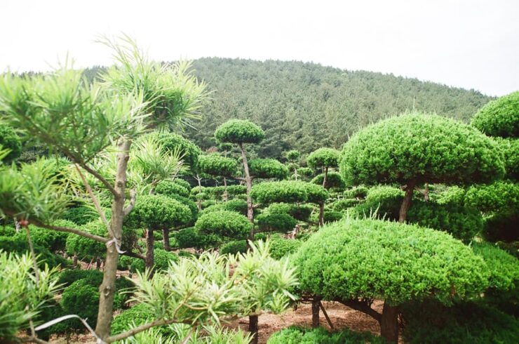 Private Tour of Jeju Island, by Car, at Your Own Pace - Experience Highlights