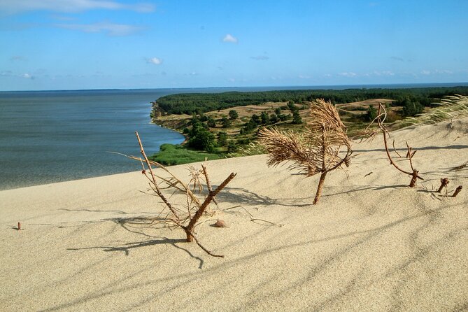 Private Tour of Klaipeda to Curonian Spit From Klaipeda - Tour Itinerary