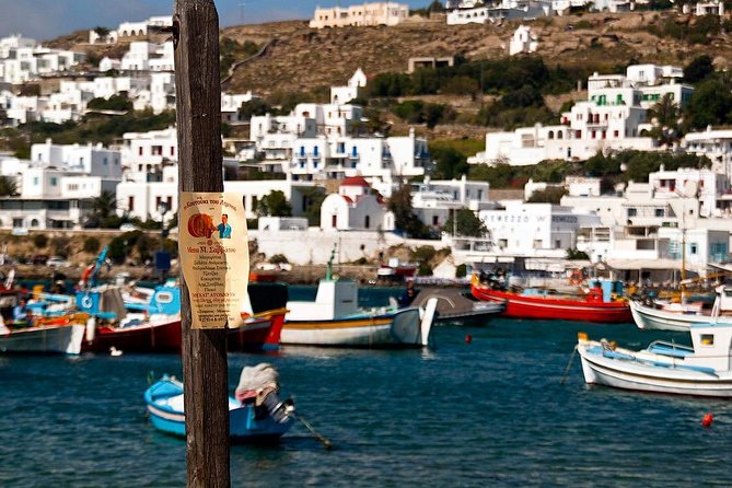 Private Tour of Little Venice, Kalafati Beach and Panagia Tourliani Monastery - Price