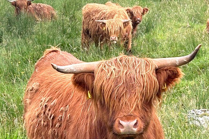 Private Tour of Loch Ness, Glencoe and Highlands From Edinburgh - Questions and Inquiries