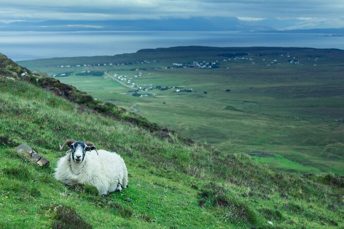 Private Tour of Loch Ness, Glencoe and Highlands From Glasgow - Common Questions