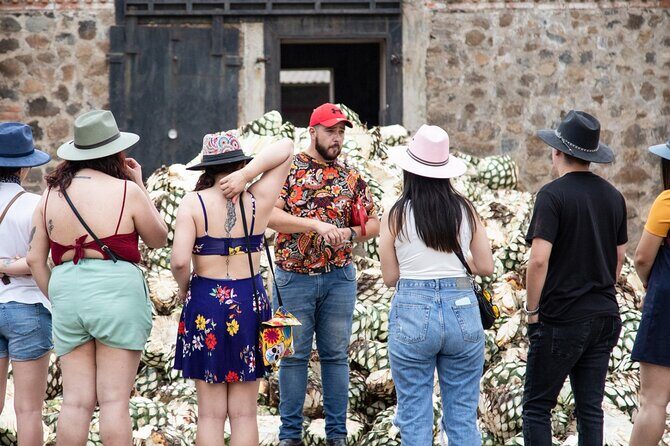 Private Tour of Magic Town Tequila Adventure Day Tour - Final Thoughts: Is This Tour Worth It?