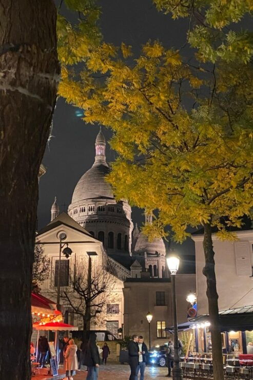 Private Tour of Montmartre. - Activity Description