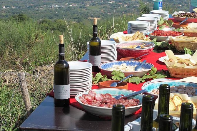Private Tour of Mount Etna and Etna Winery Visit With Tasting From Syracuse - Inclusions and Amenities