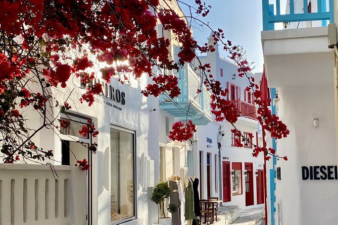 Private Tour Of Mykonos Included Town - Who Is This Tour Best For?