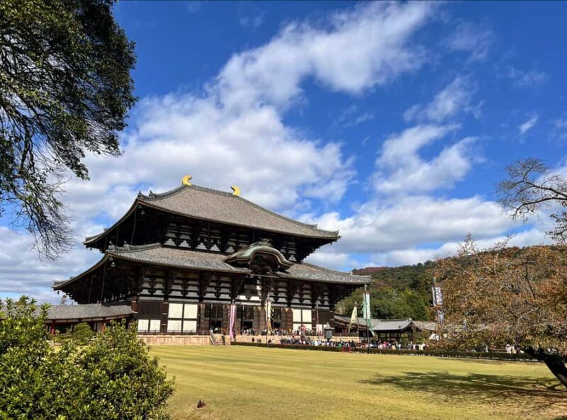 Private tour of Nara with an English/Spanish-speaking Guide - Final Thoughts: Is It Worth It?