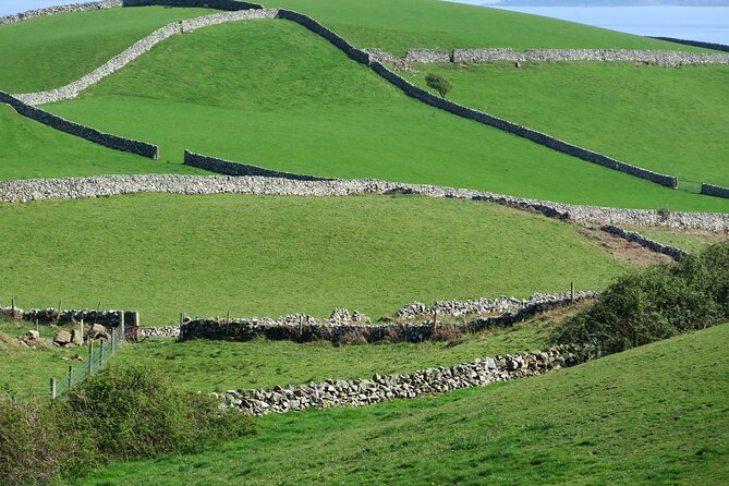Private Tour of Newgrange and The Hill of Tara - Contact and Terms & Conditions