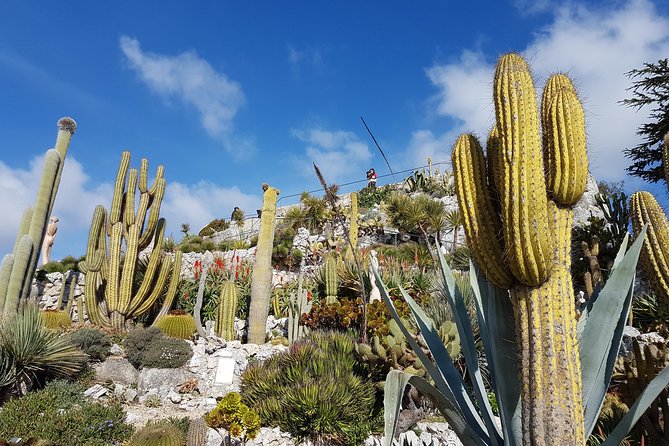 Private Tour of Nice, Monaco & Eze With a Local Guide - Customer Testimonials