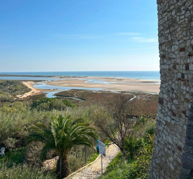Private Tour of Olhao, Tavira and Cacela Velha - Availability and Itinerary Highlights