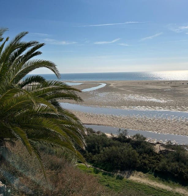 Private Tour of Olhao, Tavira and Cacela Velha - Tavira Discovery
