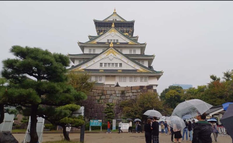 Private tour of Osaka with a Spanish-speaking Guide - Practical Details & Tips
