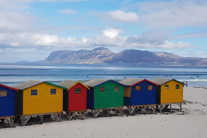 Private Tour Of Penguins, Cape Of Good Hope & Peninsula. - Pricing and Booking Options