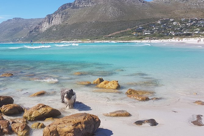 Private Tour Of Penguins, Cape Of Good Hope & Peninsula. - Inclusions and Exclusions