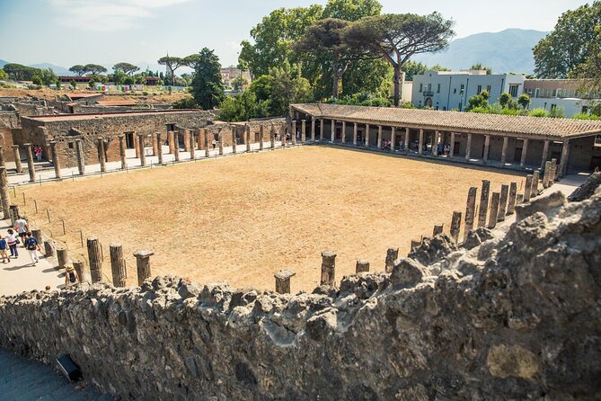 Private Tour of Pompeii and Mt Vesuvius From Sorrento - Traveler Photos and Reviews