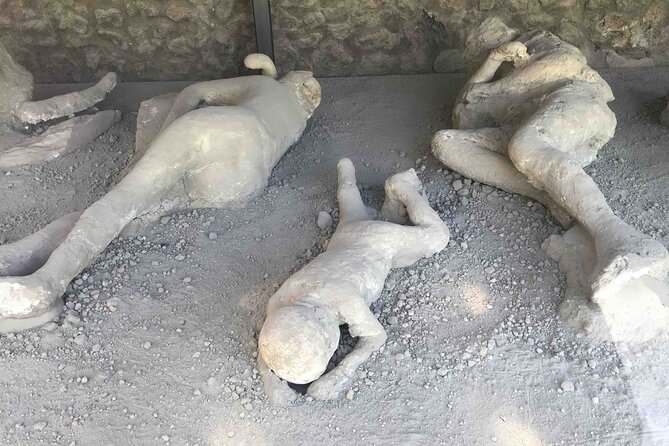 Private Tour of Pompeii Half Day With Mercedes Sedan and Guide - Transportation Details