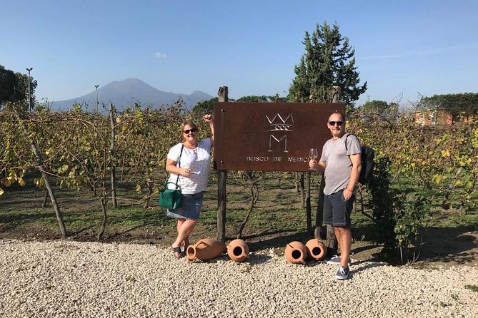 Private Tour of Pompeii Ruins Organic Wine and Lunch Tasting - Additional Information