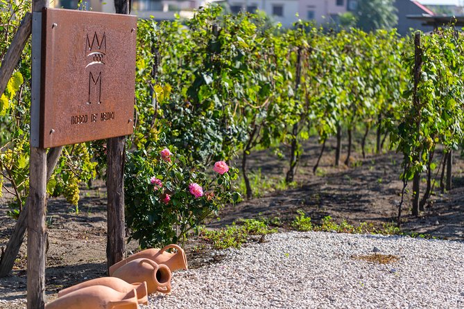Private Tour of Pompeii Ruins, Organic Wine Tasting and Lunch - Tour Overview
