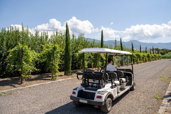 Private Tour of Pompeii Ruins, Organic Wine Tasting and Lunch - The Sum Up