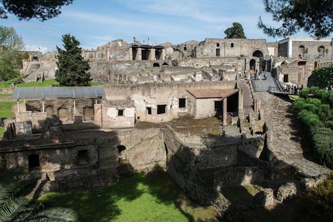 Private Tour Of Pompeii - Sorrento & Positano - Reviews and Travelers Feedback