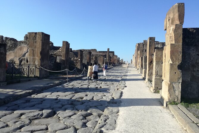 Private Tour of Pompeii. Visit of the Roman Villas Recently Opened to the Public - Exclusive Access to Recently Opened Sites