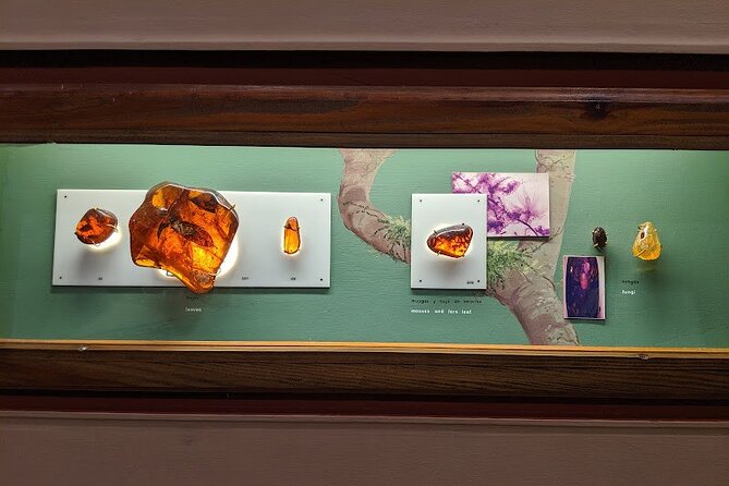 Private Tour of Puerto Plata by Classic Car - Customize Your Own Dream Itinerary