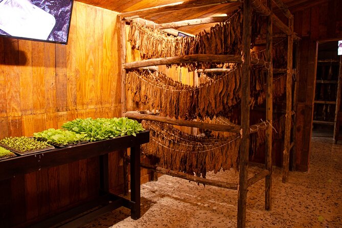 Private Tour of Puerto Plata by Classic Car - Common Questions