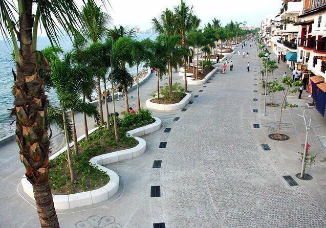 Private Tour of Puerto Vallarta and the Subtropical Forest - Good To Know