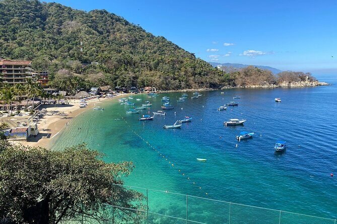 Private Tour of Puerto Vallarta and the Subtropical Forest - Final Thoughts