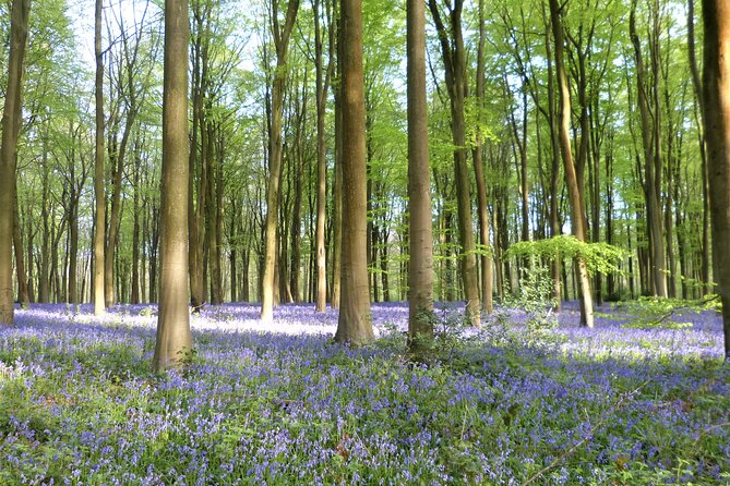 Private Tour of Quintessential English Villages - Booking and Pricing Information