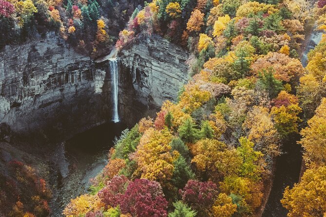 Private Tour of Rhine Falls From Zurich - Cancellation Policy