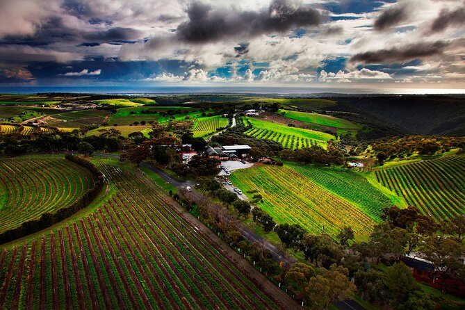 Private Tour of Rojinas Fleurieu in McLaren Vale - The Sum Up