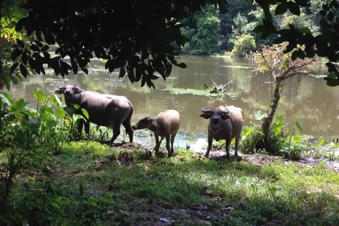 Private Tour of Rural Khmer Every Day Life - Pricing and What To Expect
