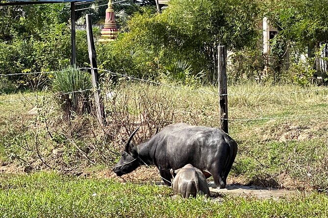 Private Tour of Rural Khmer Every Day Life - Customer Reviews and Guarantee