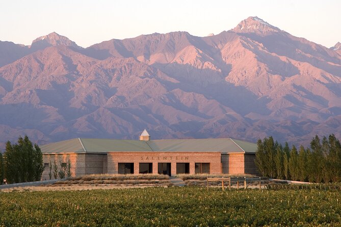 Private Tour of Salentein Winery La Azul With Lunch. Transportation Included - Transportation Details