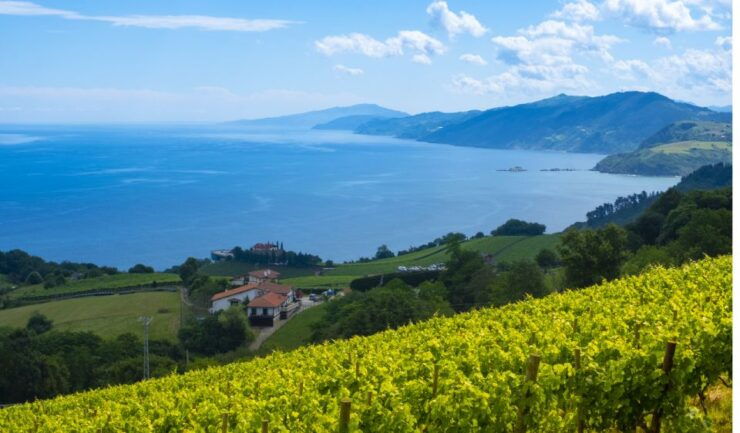 Private Tour of San Sebastian and Getaria W/ Txakoli Tasting - Tour Details