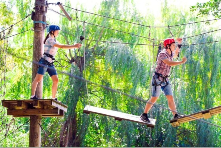 Private Tour of Santa Elenaforest Forestflower Tour - Tour Details