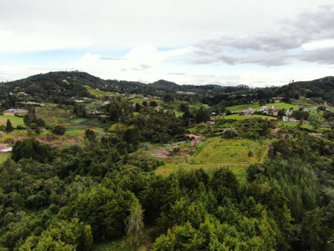 Private Tour of Santa Elenaforest Forestflower Tour - Booking Guidelines