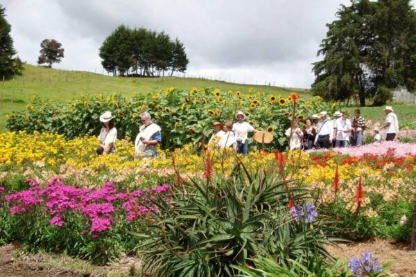 Private Tour of Santa Elenaforest Forestflower Tour - The Sum Up