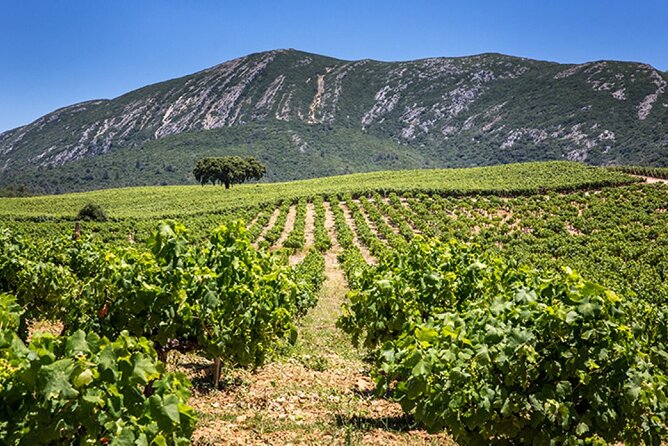 Private Tour of Sesimbra and Arrábida - Stunning Landscapes